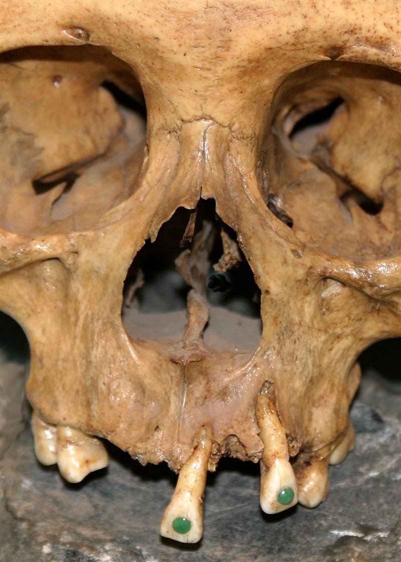 jade-toothed-skull_cd2147bc_800x1120-2.jpeg